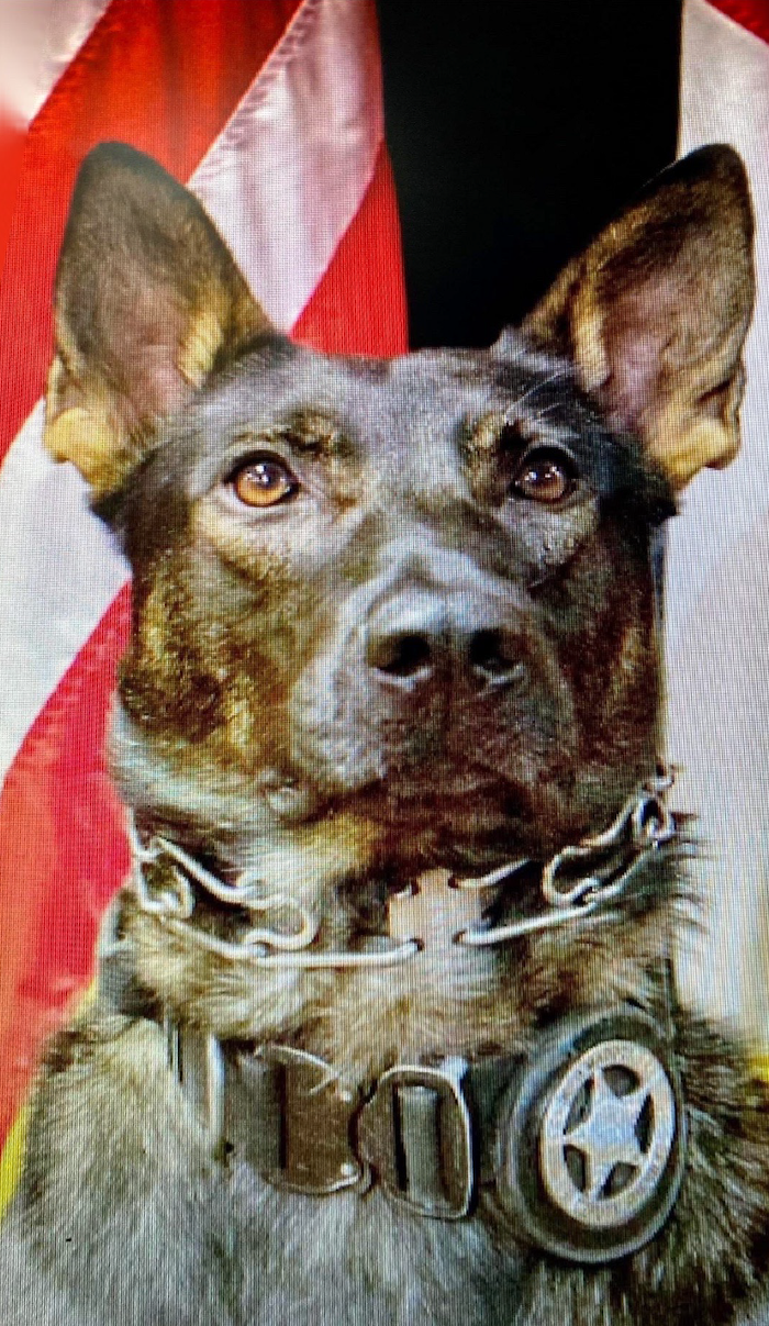 K9 Maddox